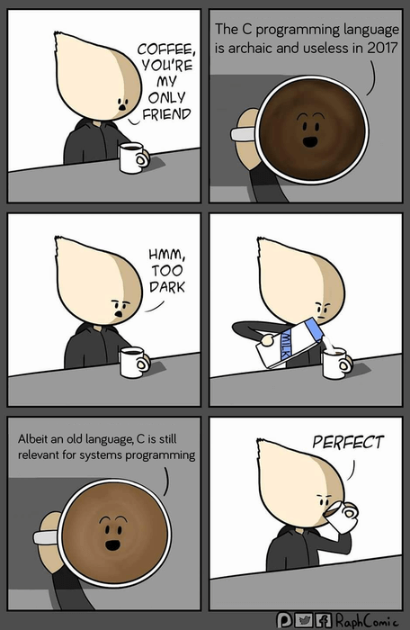 C for Systems Programming